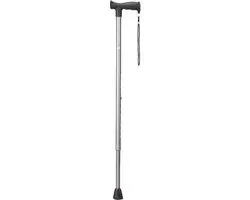 Wandelstok