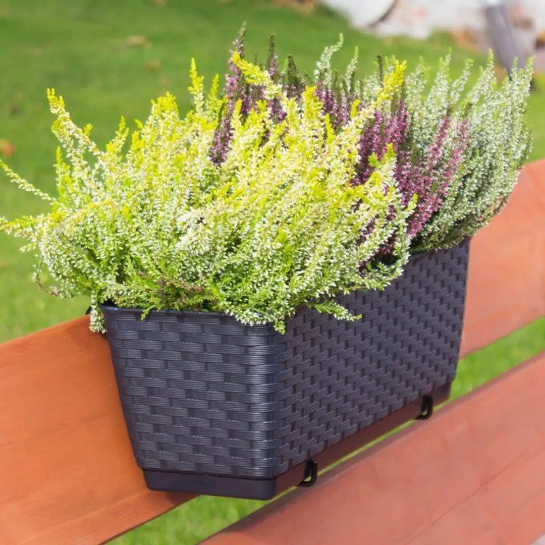 Prosperplast Ratolla Balkondoos 39x16x14,5cm Antraciet - afbeelding 2 van 5