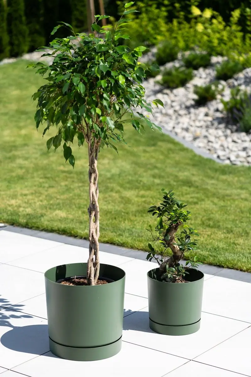 Prosperplast DPOP400 Pot met Schotel - Groen - afbeelding 3 van 4