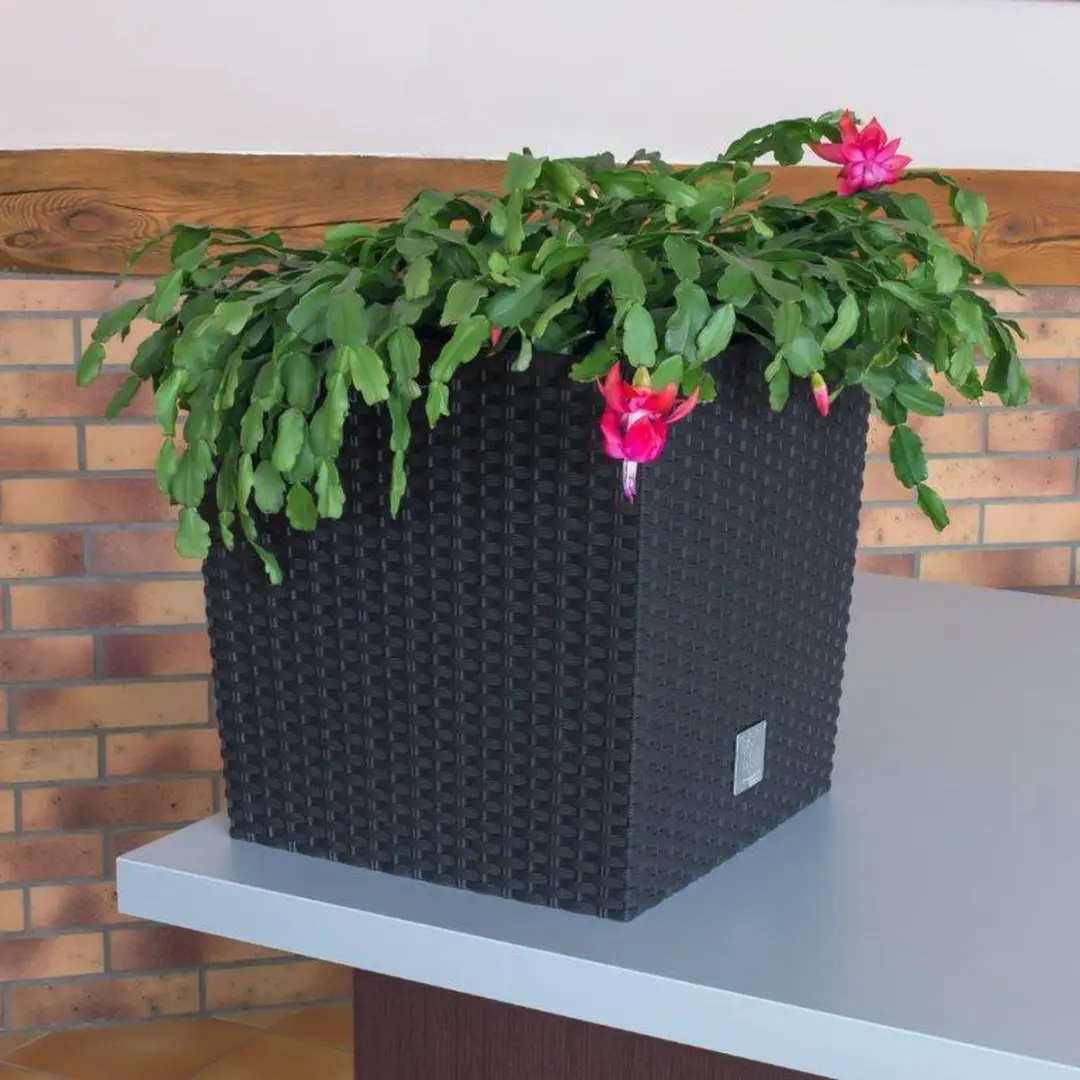 Prosperplast Rato Plantenpot 21L - 32x32x33cm - Antraciet - afbeelding 6 van 6