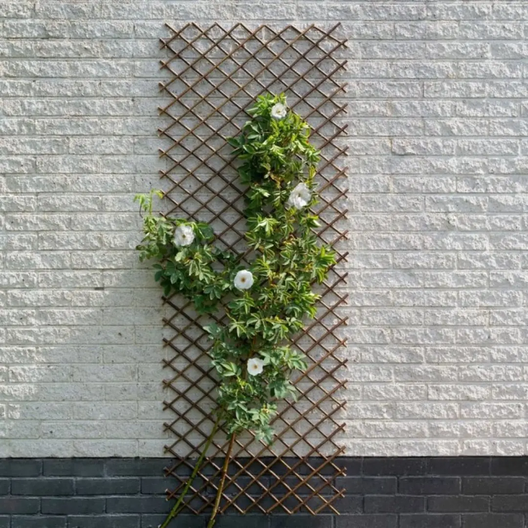 Nature Wilgenklimrek 30x180cm - afbeelding 6 van 6