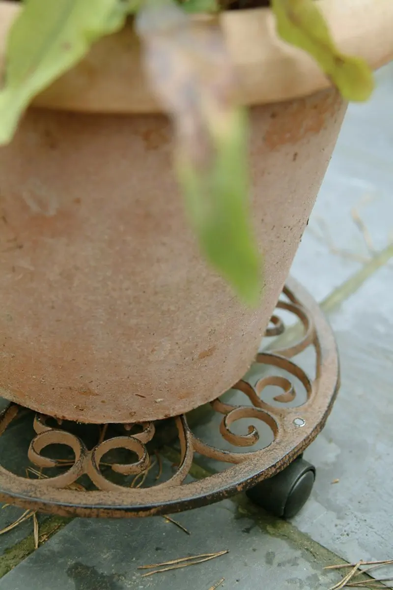 Esschert Design Planttrolley S - Ø29xH7cm - Bruin - afbeelding 4 van 5