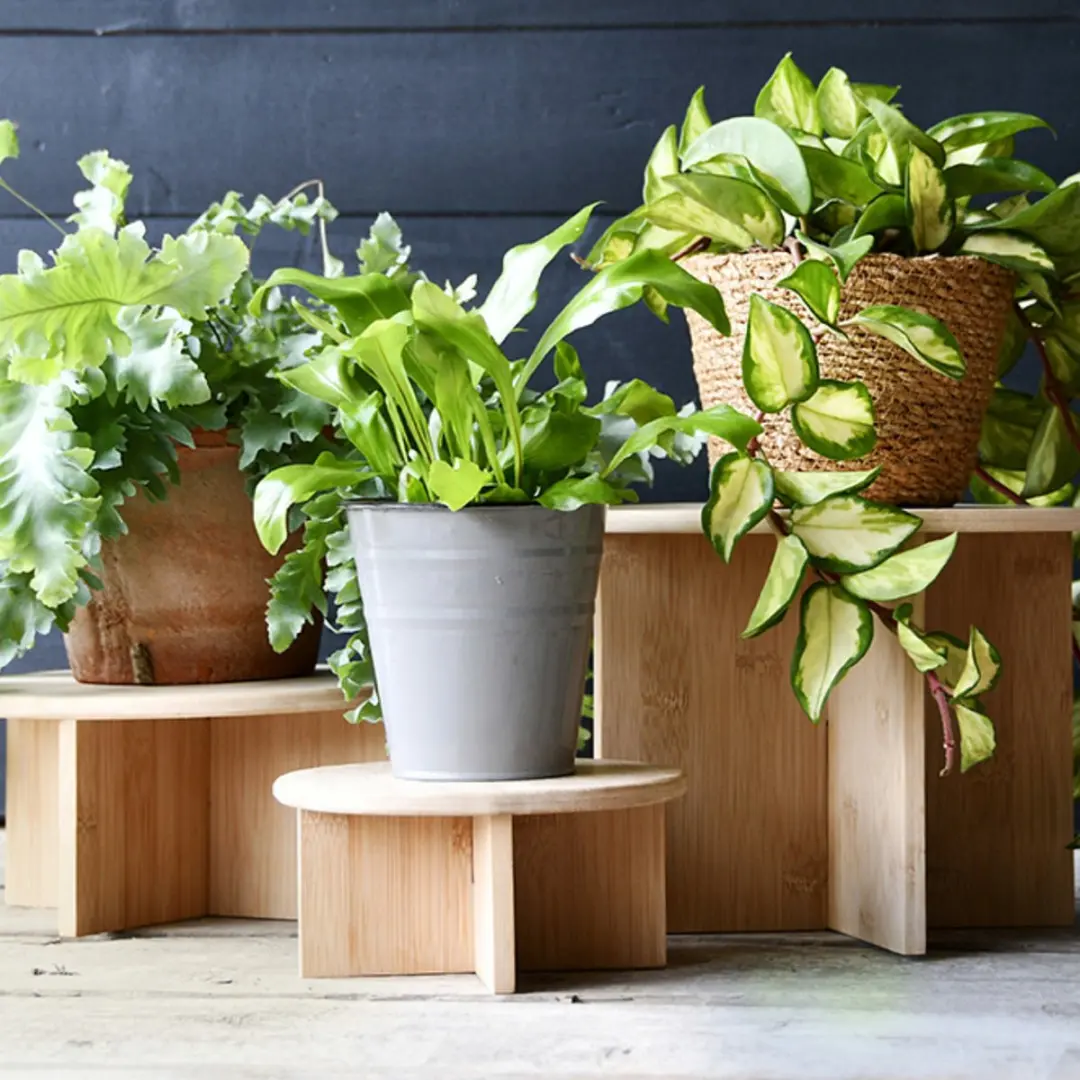 Esschert Design Plantentafeltje Bamboe D18cm H8.5cm - afbeelding 3 van 4