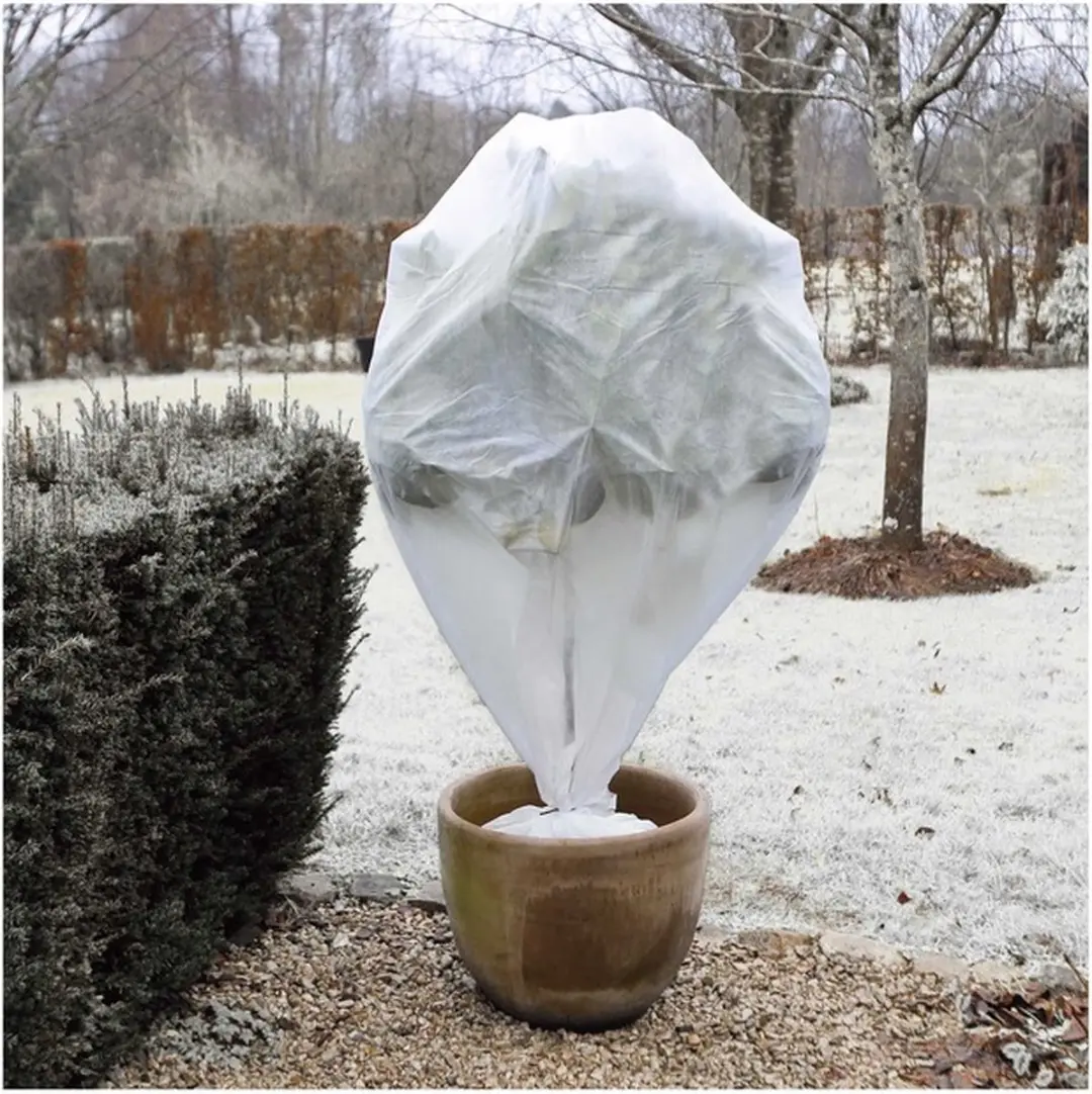 6x Plantenhoes tegen vorst wit H75 x D48 cm 30 g/m2 ï¿½ Winterafdekhoes ï¿�