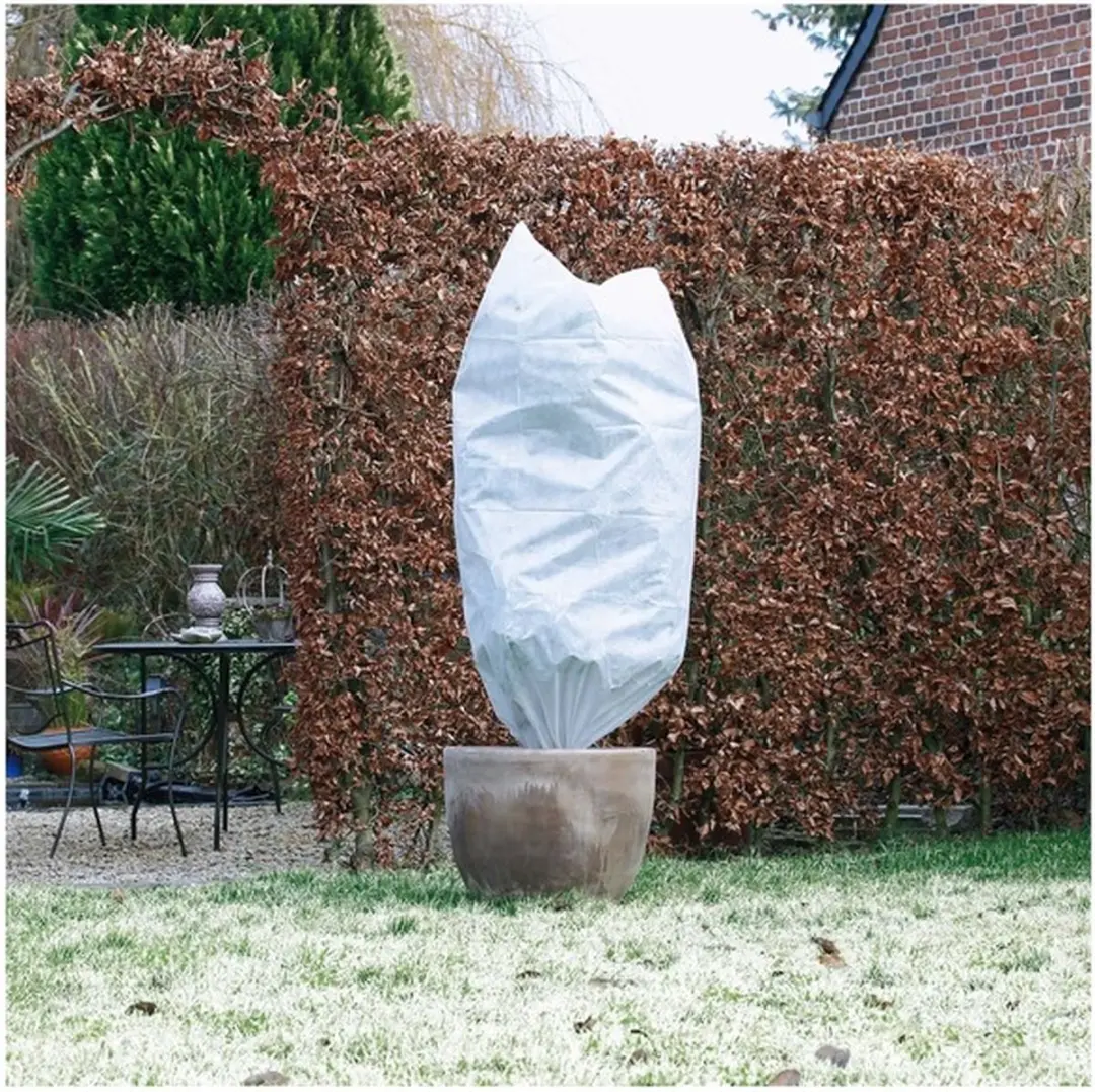 3x Plantenhoes tegen vorst met aantrekkoord wit 1,5 meter x 100 cm 50 g/m2 ï¿�