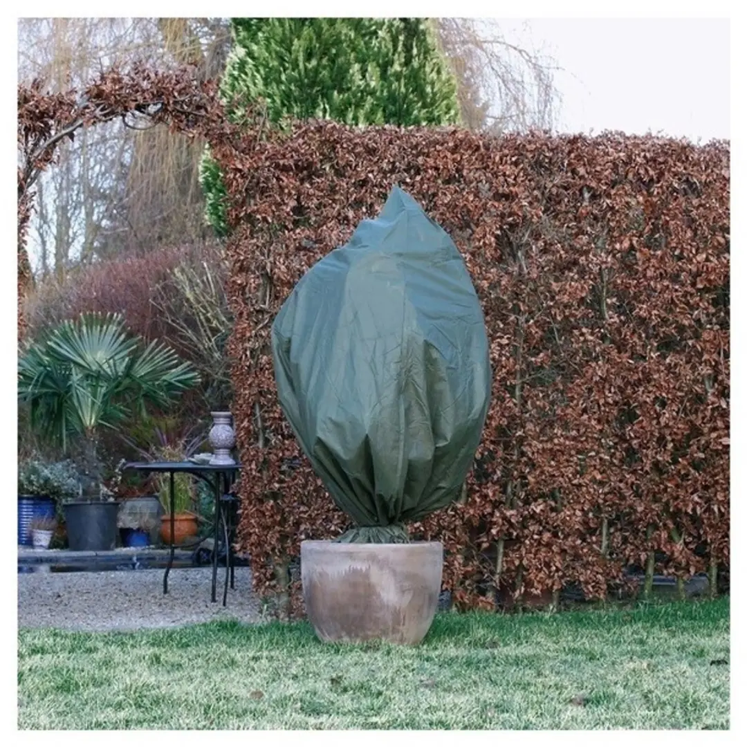 6x Plantenhoes tegen vorst met aantrekkoord groen H 1 meter x D 50 cm 50 g/m2 ï