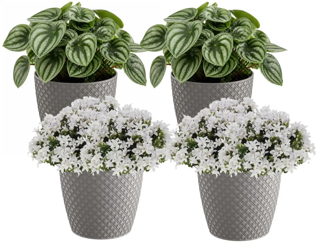Prosperplast bloempot / plantenpot - 4x - kunststof - steengrijs - Dia 15.7 cm en hoogte 13.8 cm - binnen/buiten