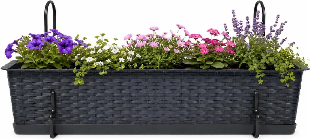 Prosperplast plantenbak Buster - antraciet - rechthoek - met twee ophangbeugels - 60 x 17 x 15 cm - kunststof - bloembakken - potten