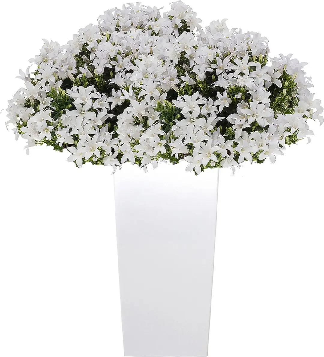 Prosperplast Urbi Bloempot - Wit 40x75cm - afbeelding 2 van 6