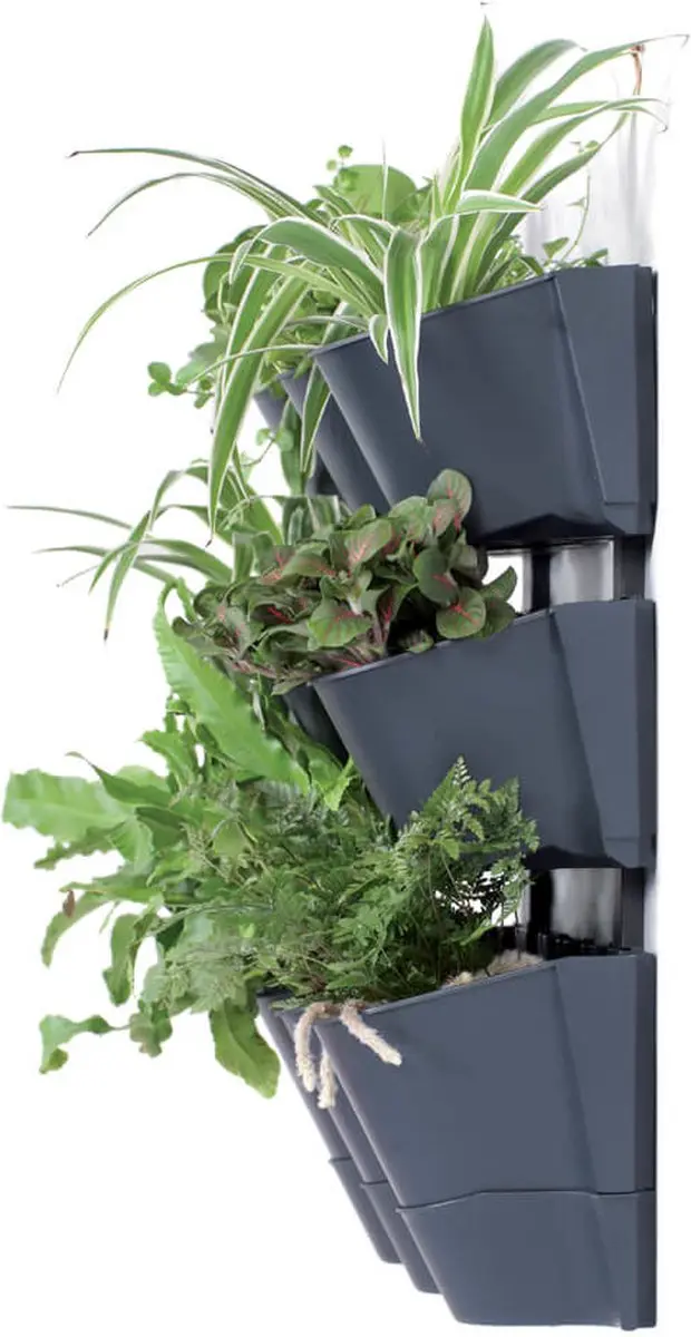 Prosperplast Cascade Wall Verticale Tuin - Antraciet - 12 Potten - afbeelding 2 van 6