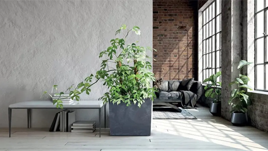 Prosperplast Urbi Bloempot Antraciet 580x180x498 - afbeelding 3 van 4