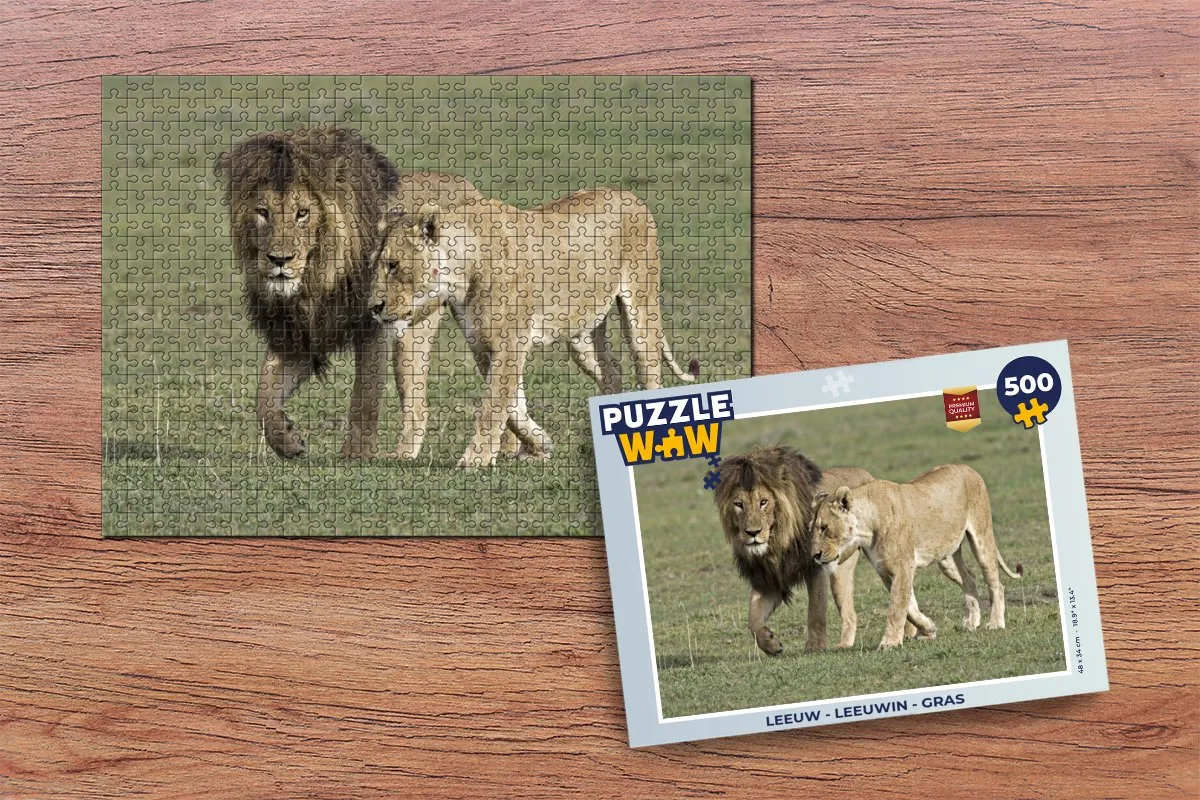 PuzzleWow Leeuwin Legpuzzel 500 Stuks - Multicolor