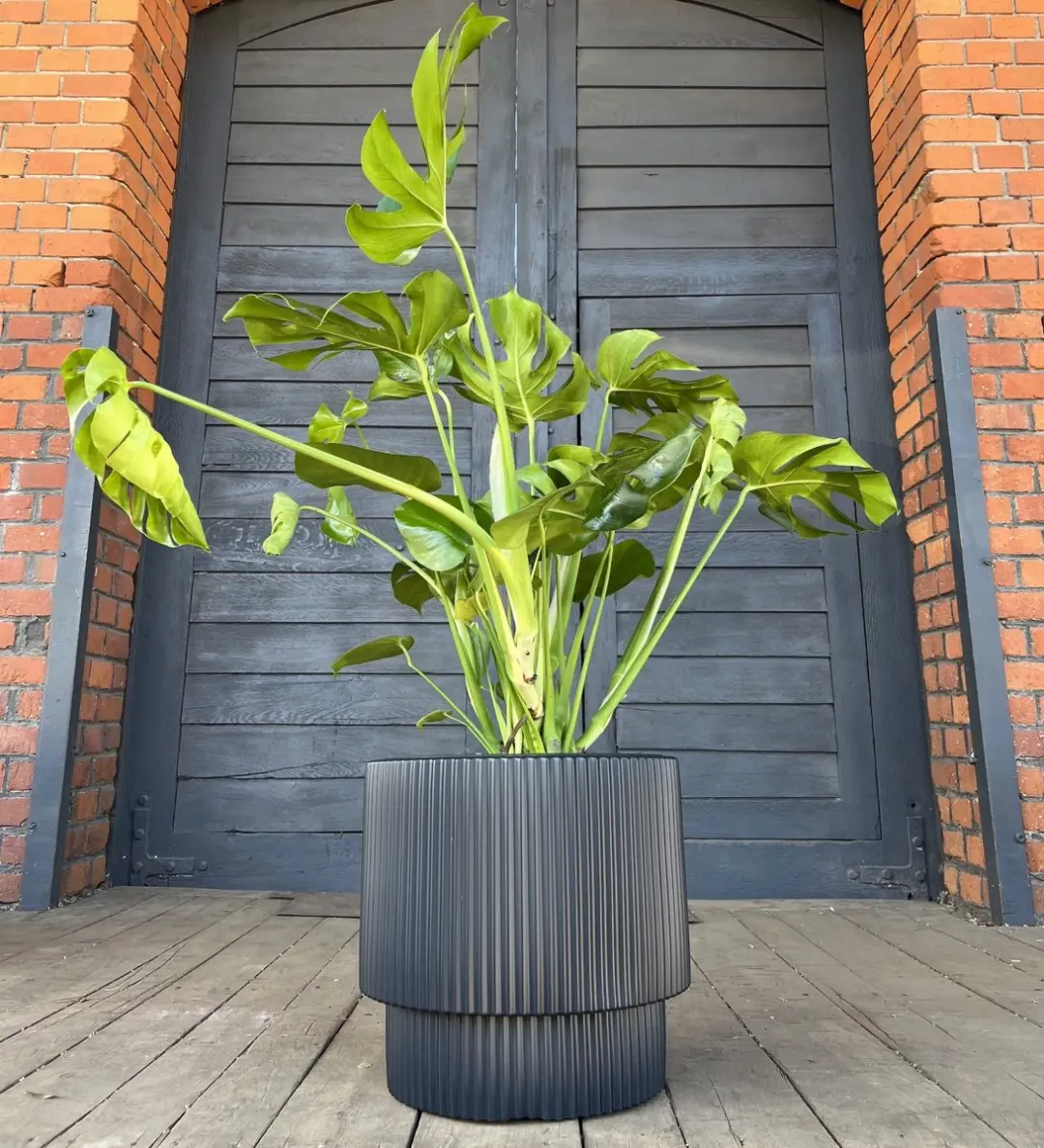Prosperplast Milly Bloempot 40cm Antraciet - afbeelding 2 van 2