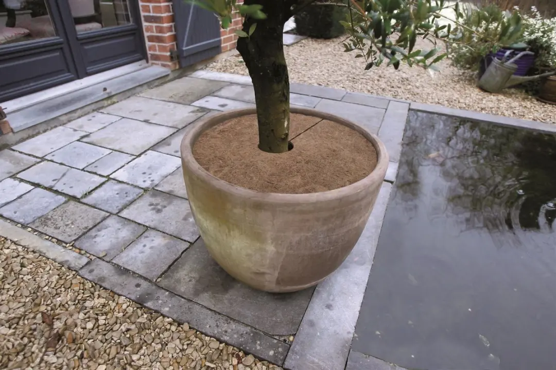 Nature Kokosschijven 60cm - 3 Stuks - afbeelding 2 van 5