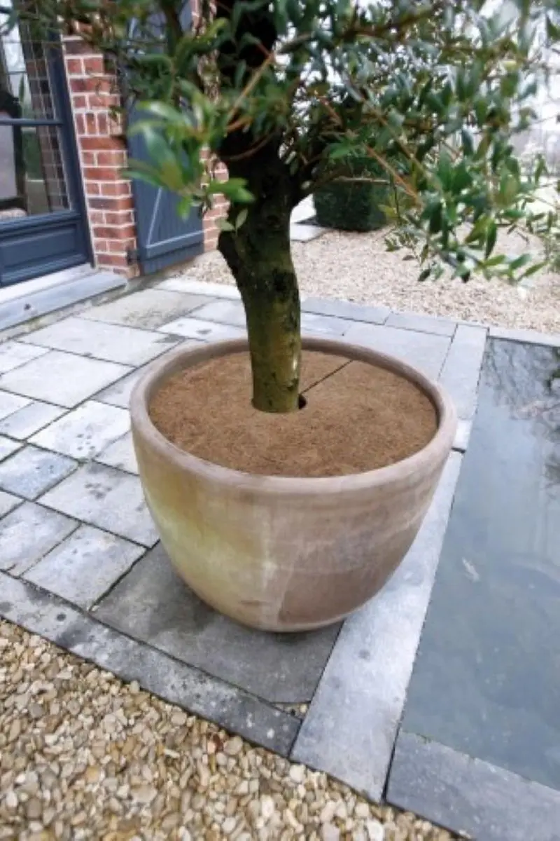 Nature Kokosschijven 60cm - 3 Stuks - afbeelding 3 van 5