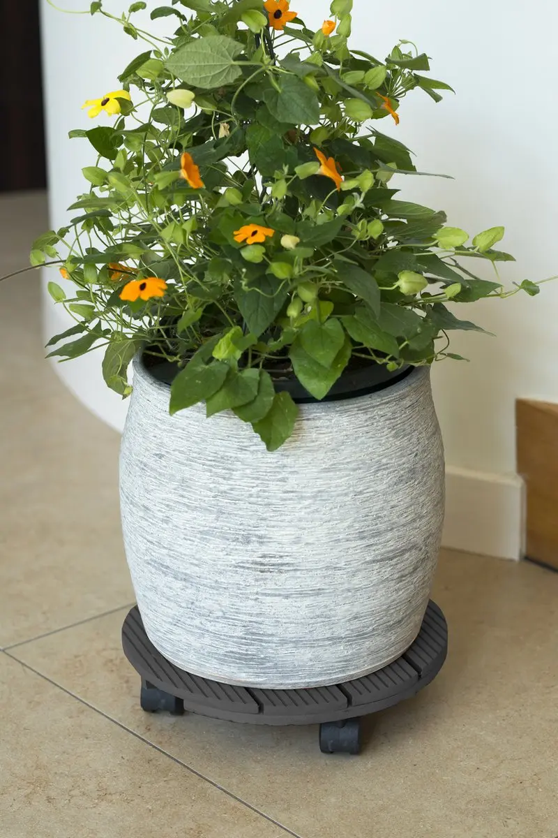 Nature Planttrolley WPC Ø30cm Antraciet - afbeelding 3 van 4