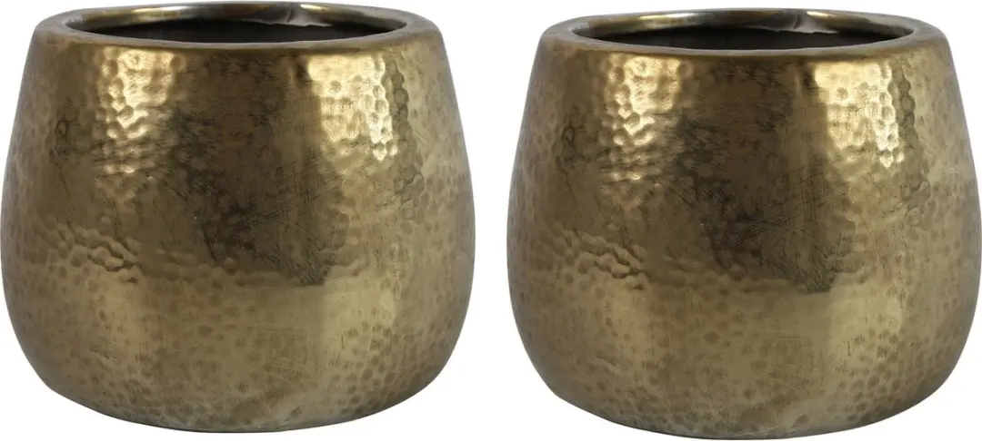 Countryfield Bloemen/plantenpot Oro