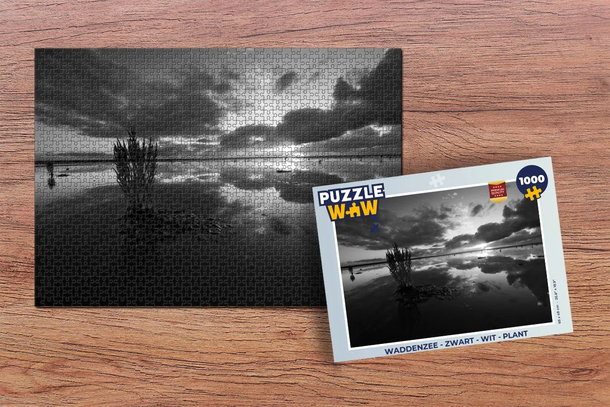 PuzzleWow Waddenzee Legpuzzel 1000 Stuks - Multicolor