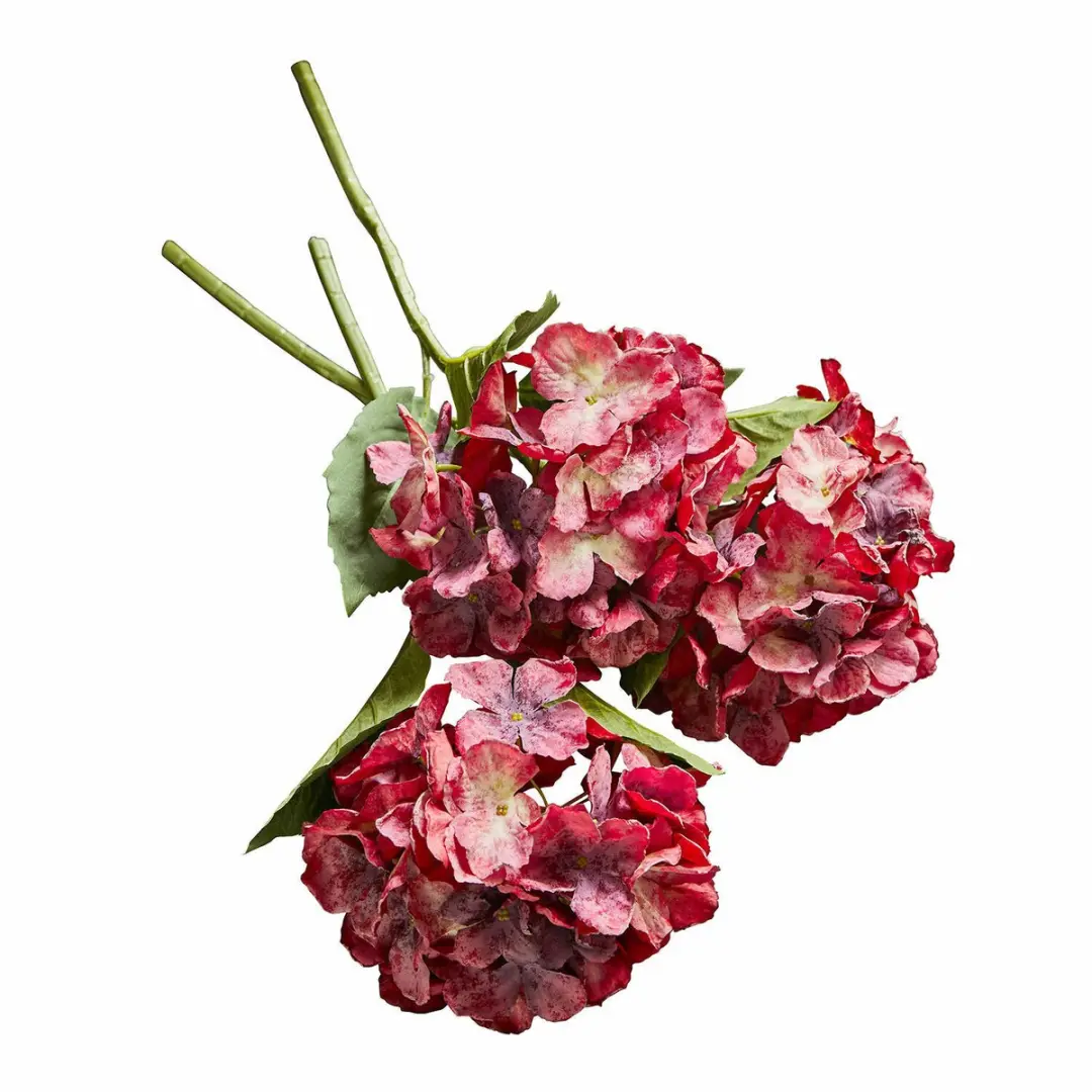 Loberon Sierbloem Virette