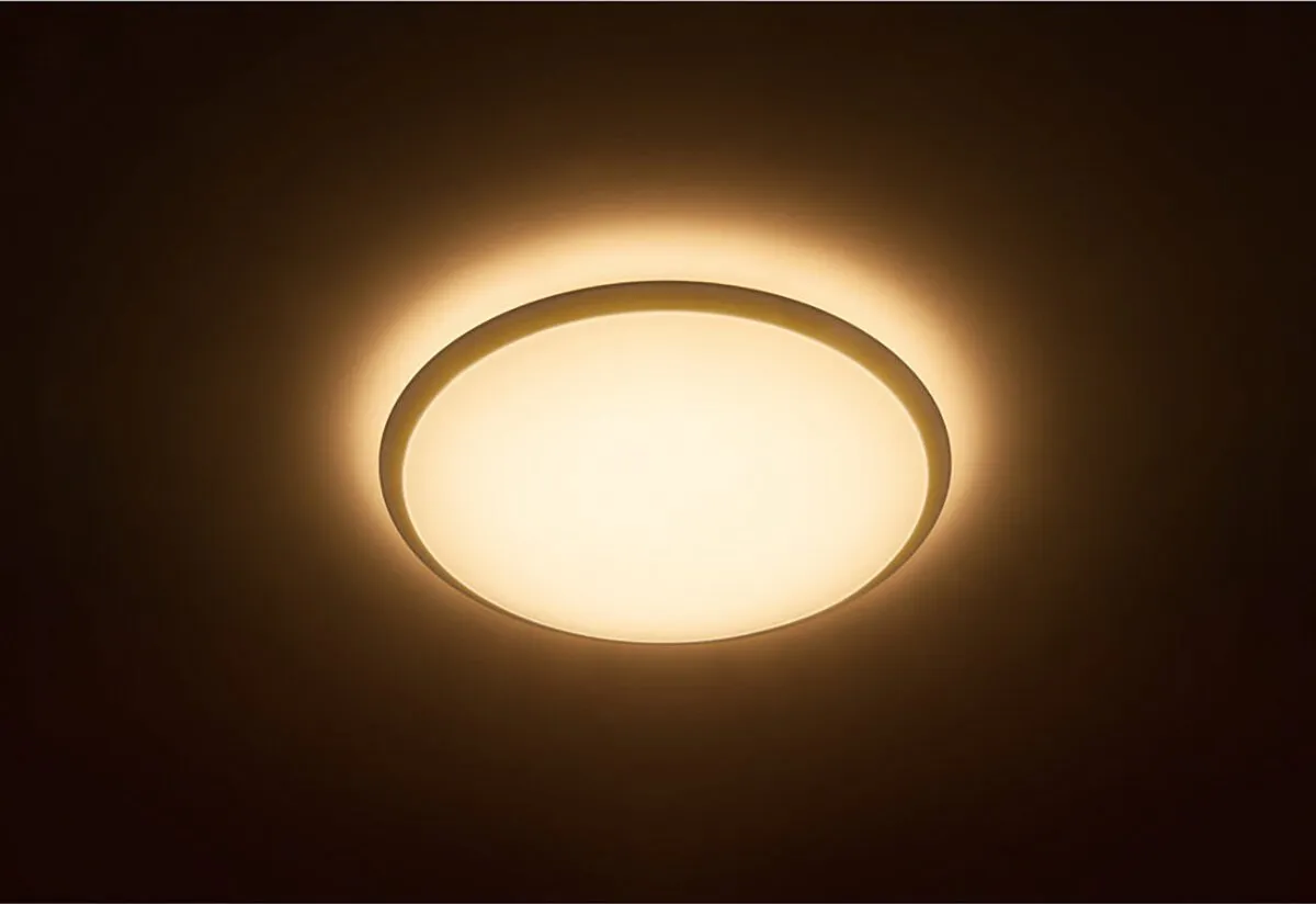 Philips Wawel Plafondlamp 17W - 35cm - Wit