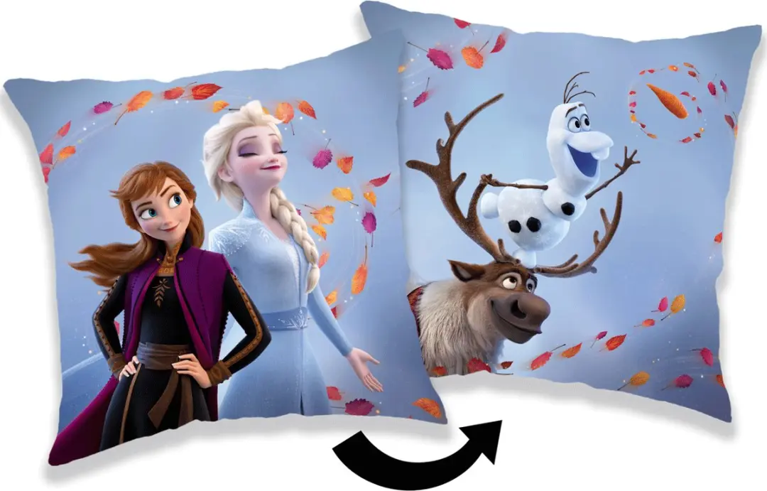 Disney Frozen Sierkussen Wind