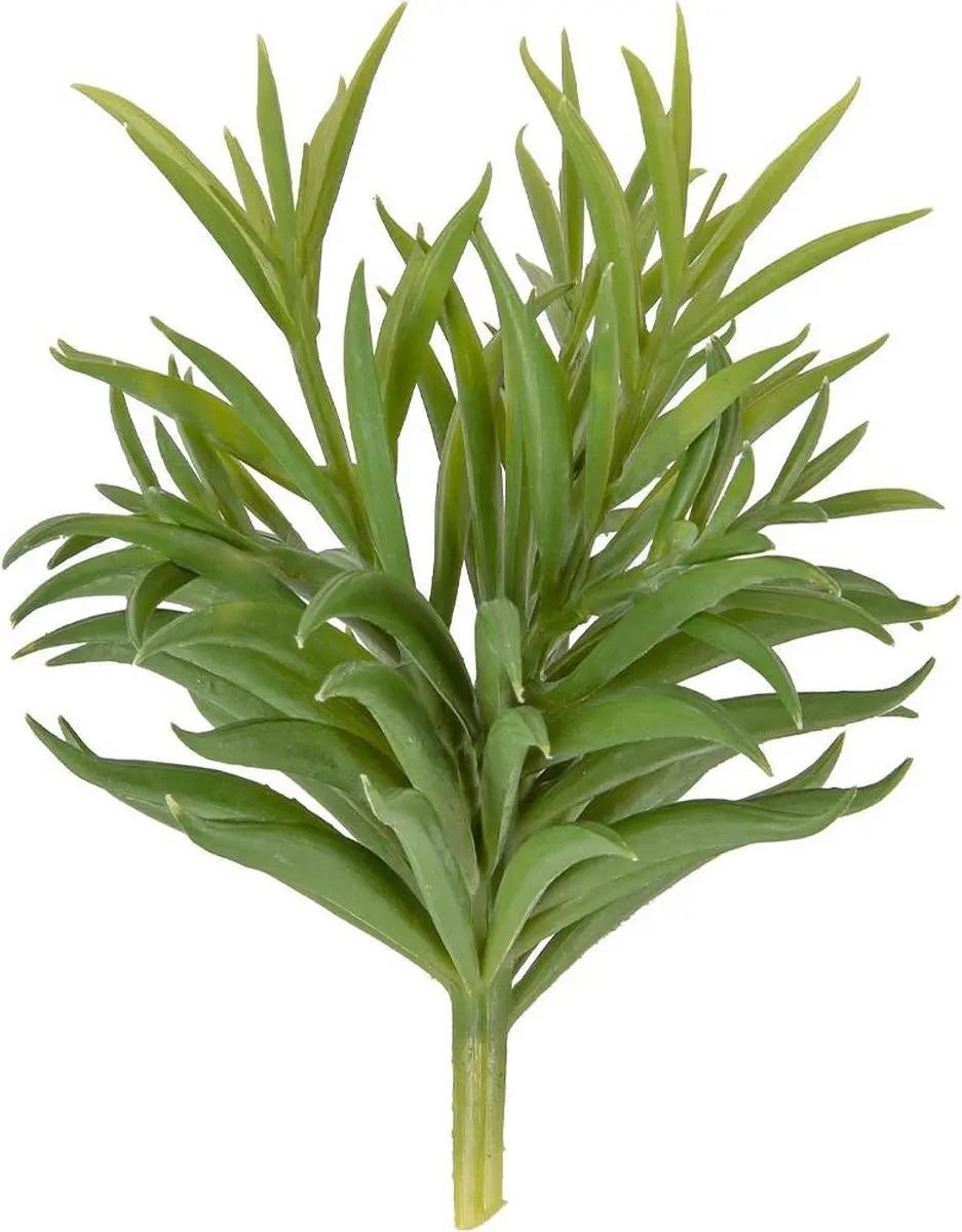 Present Time Succelent Stem PT3650 Kunstplant