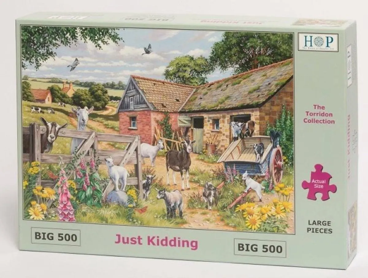 House Of Puzzles Just Kidding Legpuzzel 500 Stuks