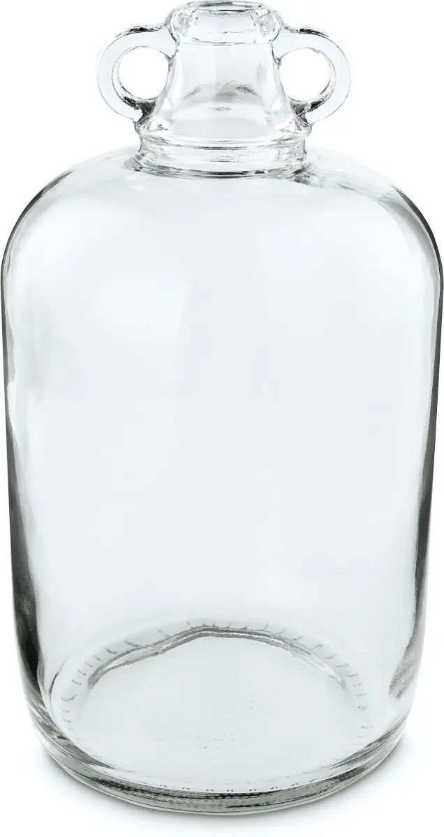 vtwonen Vaas Double Ear Glas