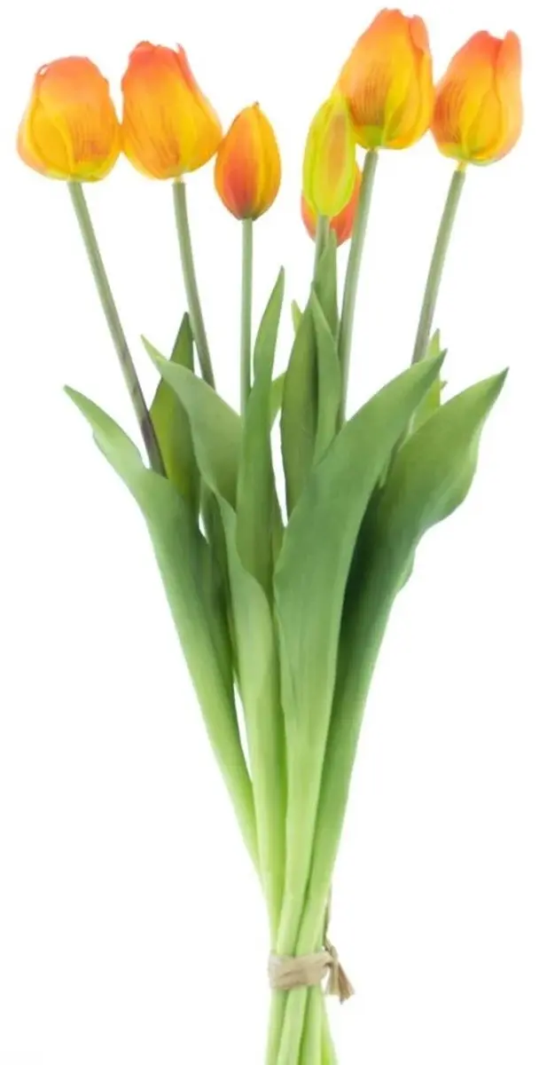 Bellatio Design Kunst tulpen boeket Sally