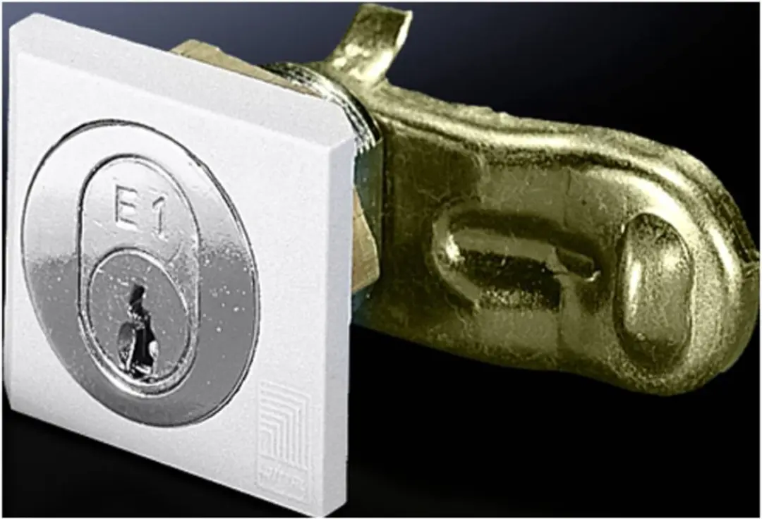 Rittal SZ 2540.500 Vergrendeling inzetstuk - Polyamide - afbeelding 3 van 3