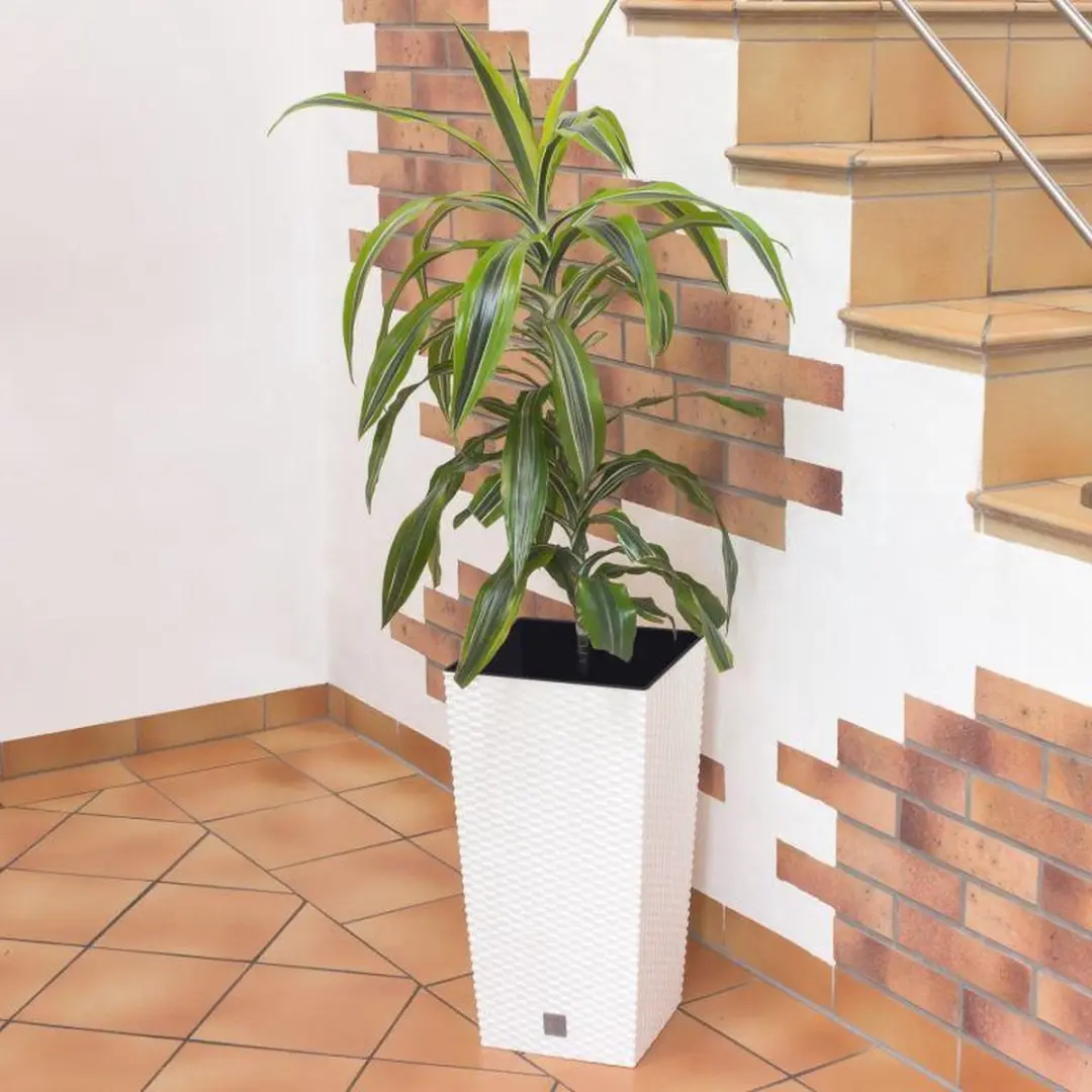 Prosperplast Rato Square Bloempot 27x27x50cm Wit - afbeelding 3 van 4