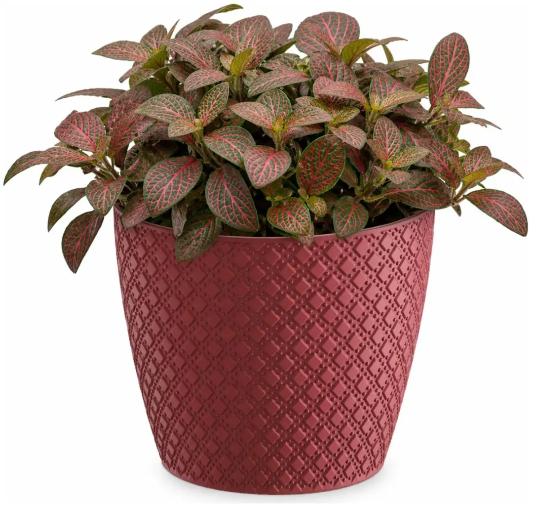 Prosperplast bloempot / plantenpot