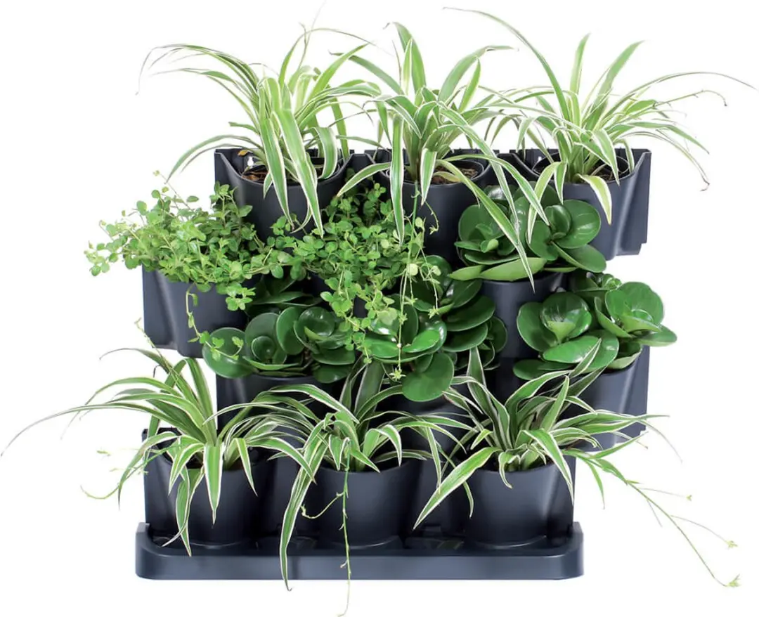 Prosperplast Garden Floor Verticale Tuin Antraciet - 12 Modulaire Potten - afbeelding 6 van 6
