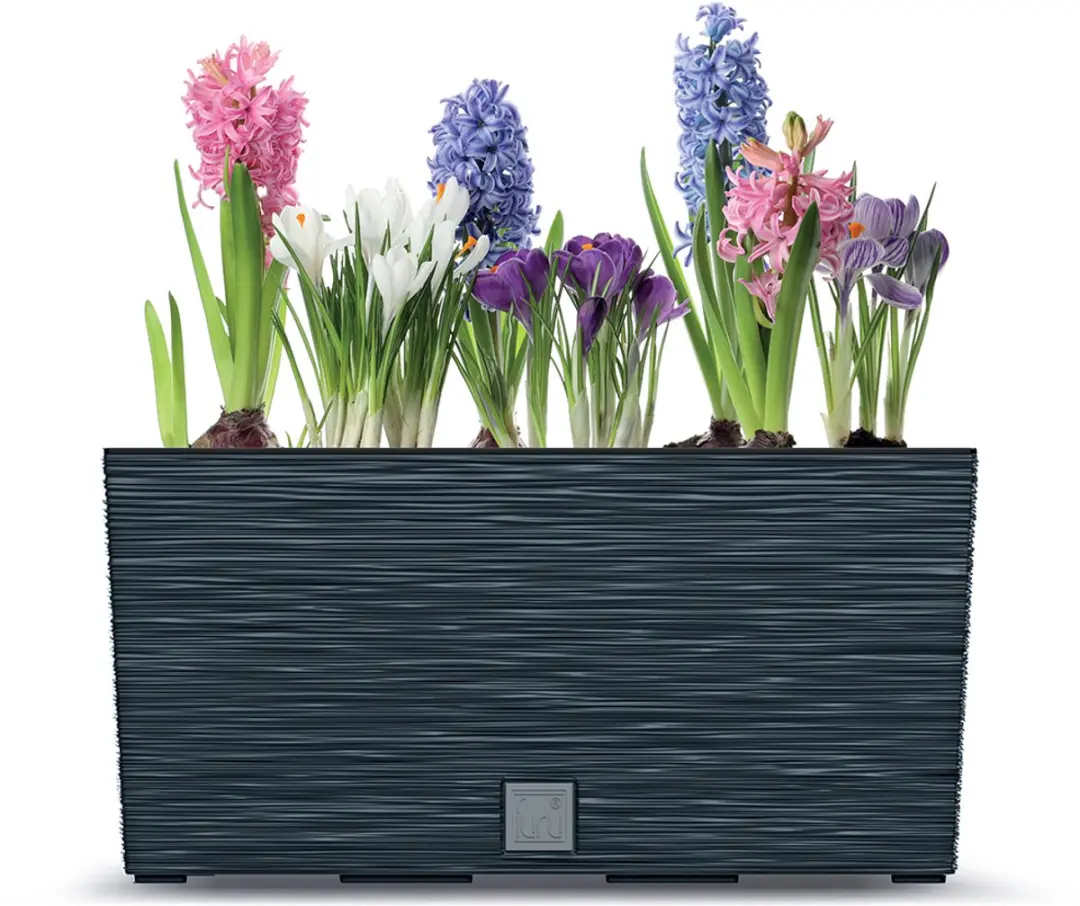 Prosperplast FURU CASE Box Bloempot 12L - Antraciet - afbeelding 3 van 6