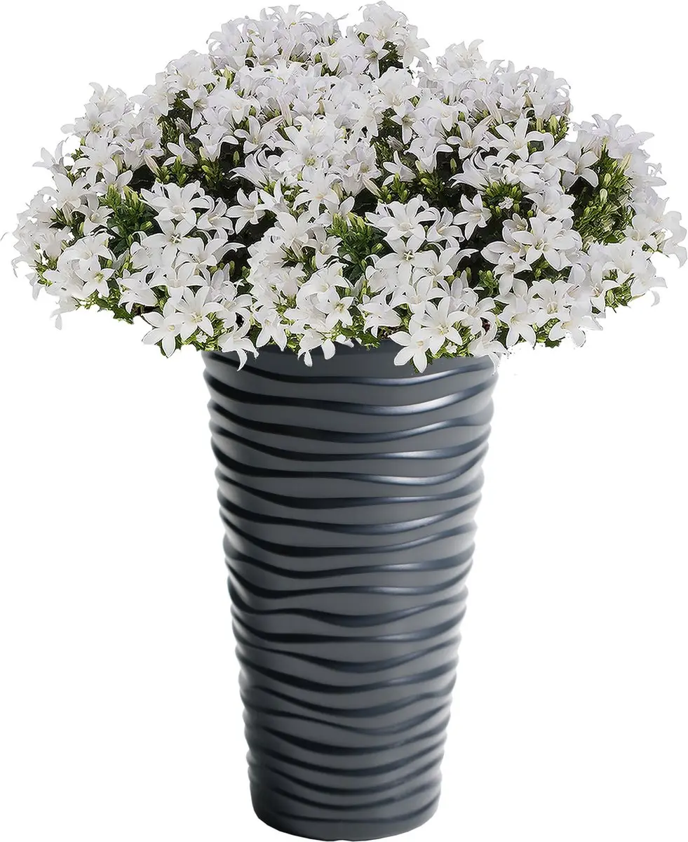 Prosperplast Sand Bloempot 30x52cm Antraciet - afbeelding 2 van 5