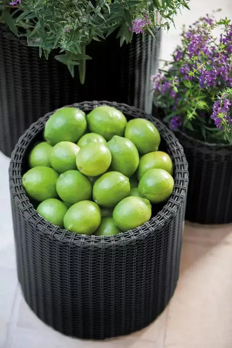 Keter Cylinder Planter Set 3 Stuks - Antraciet - afbeelding 2 van 2