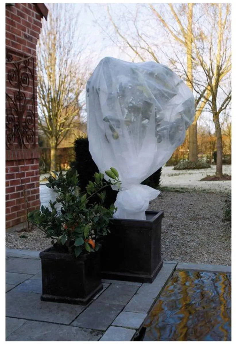 Nature Winterafdekvlies 2x5m Wit - afbeelding 5 van 6