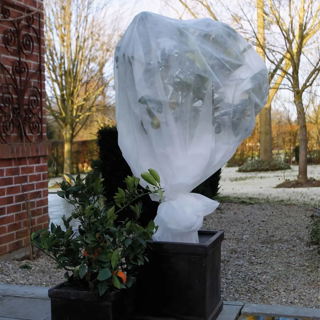 Nature Winterafdekvlies 2x5m Wit