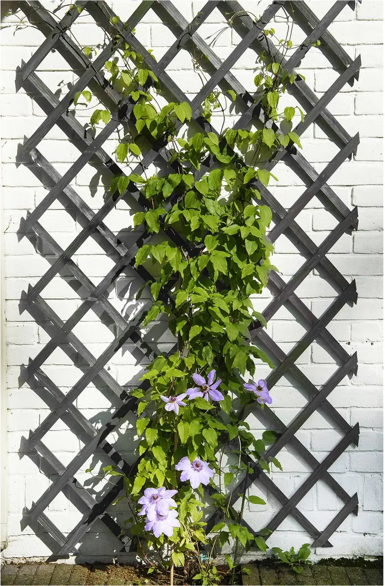 Nature Houten Klimrek 150x50cm Antraciet - afbeelding 3 van 6