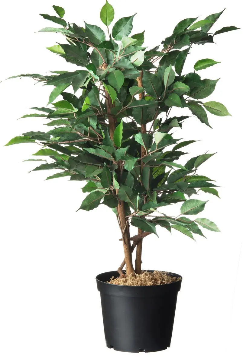 Nature Plantpot 3 Stuks - Zwart - afbeelding 3 van 4