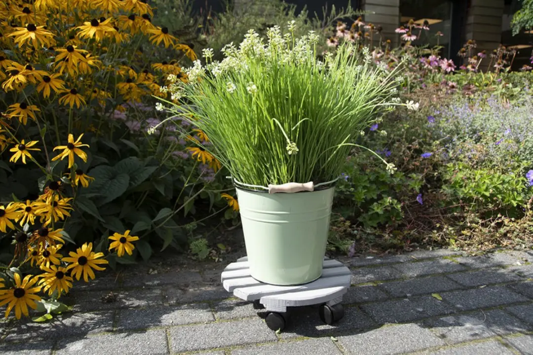 Esschert Design Plantentrolley 28cm - Beige - afbeelding 4 van 6
