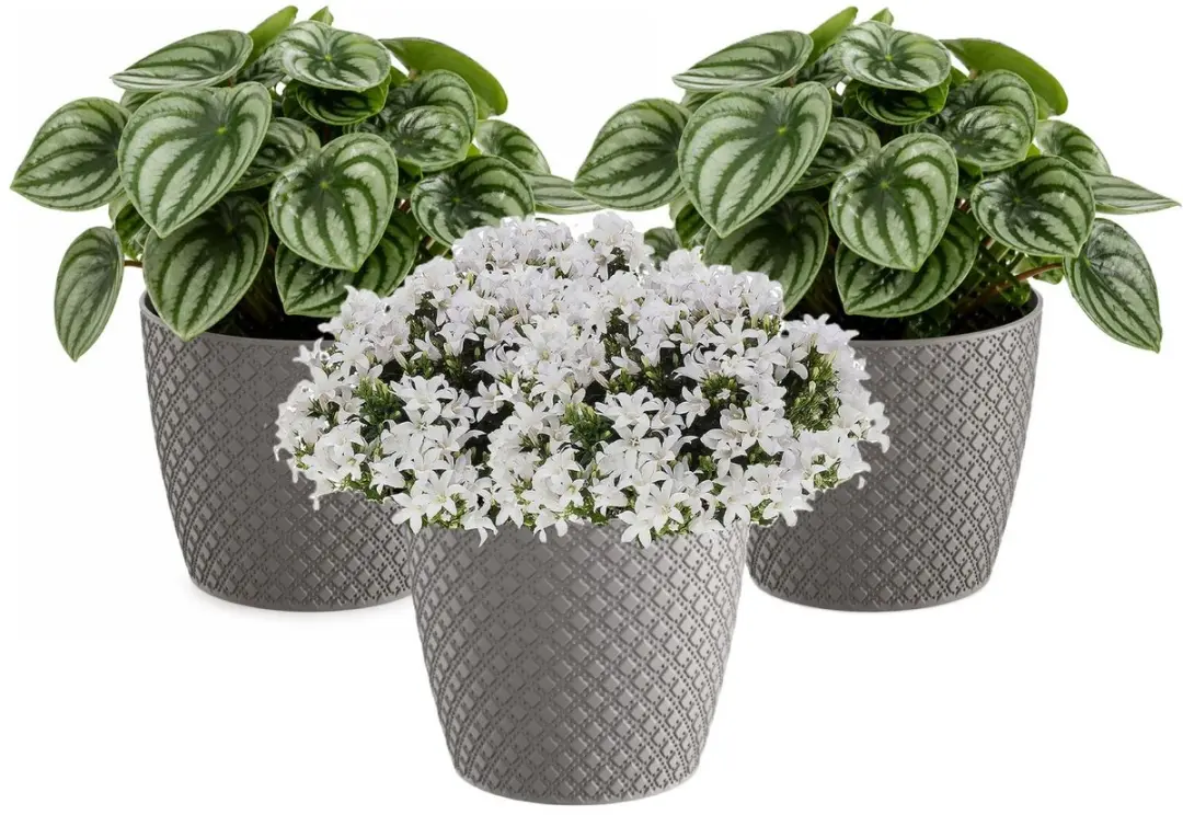 Prosperplast bloempot / plantenpot