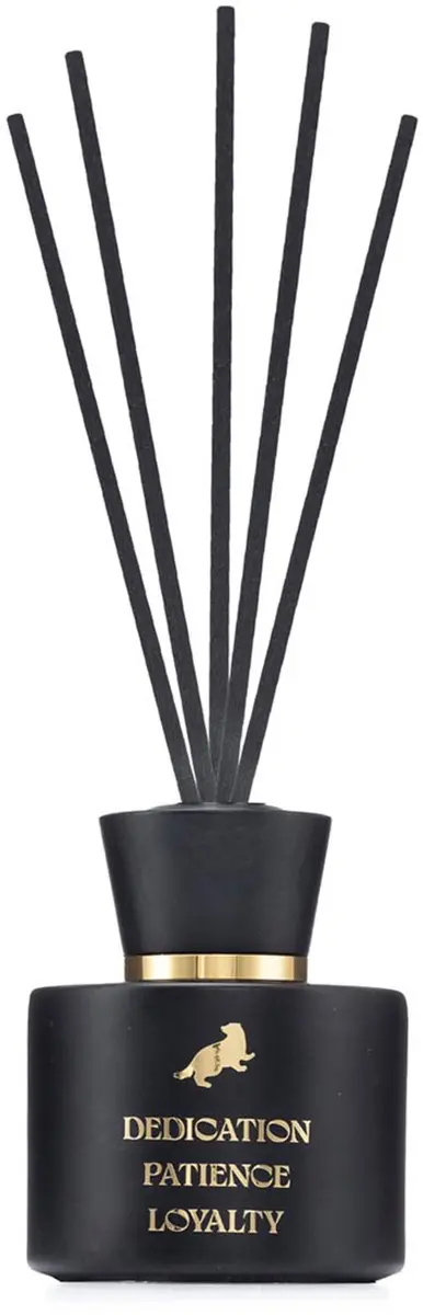 Harry Potter Diffuser