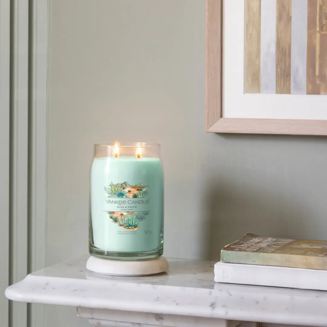 Yankee Candle Aloe & Agave Geurkaars - 90 Branduren - Groen - afbeelding 2 van 5