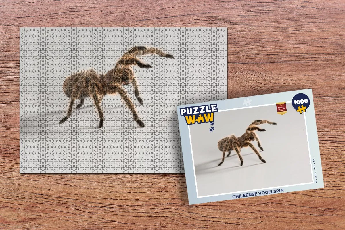 PuzzleWow Legpuzzel Chileense Vogelspin 1000 Stuks - Multicolor