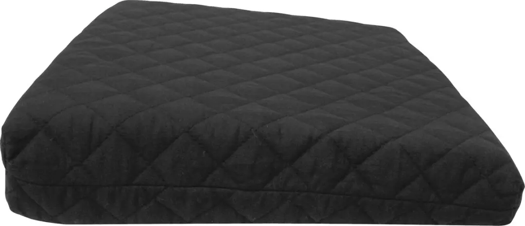Carpoint Zitkussen Basic Black