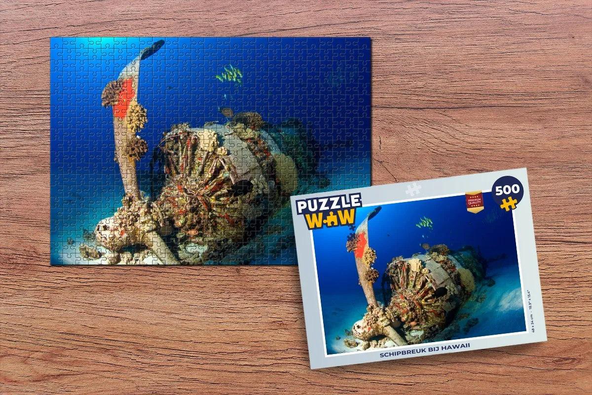 PuzzleWow Schipbreuk bij Hawaii Legpuzzel 500 Stuks - Multicolor