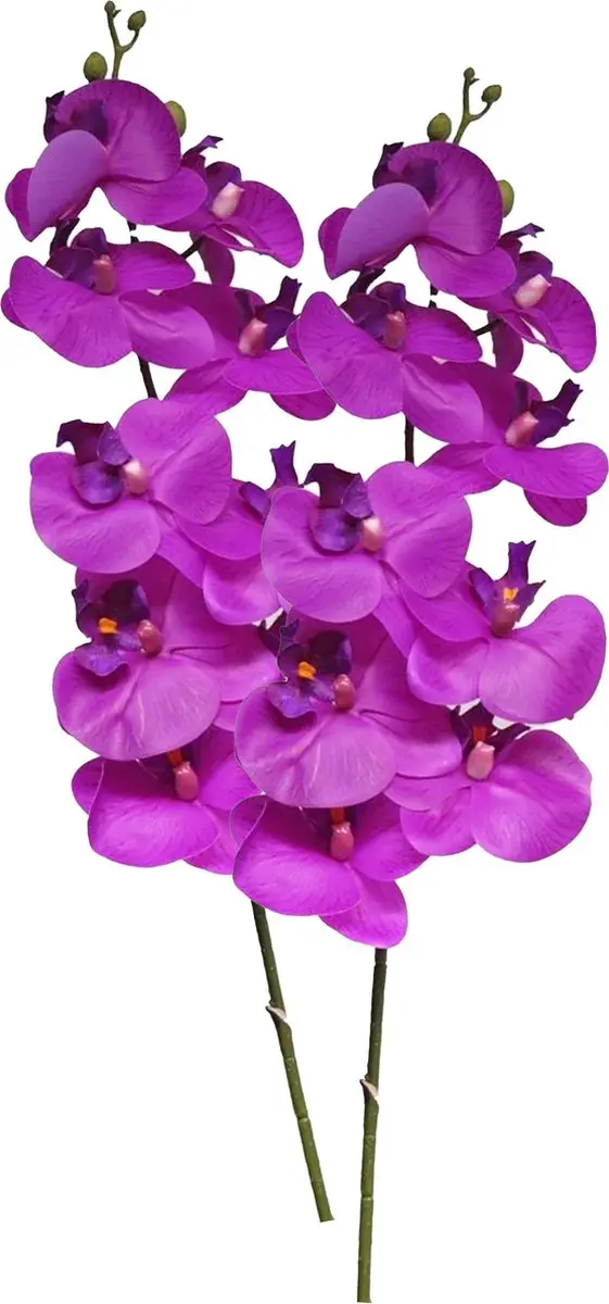 Bellatio Design Kunstbloem Orchidee Bora