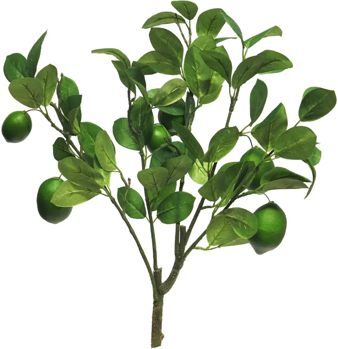 Bellatio Design Kunstbloem citrusfruit tak