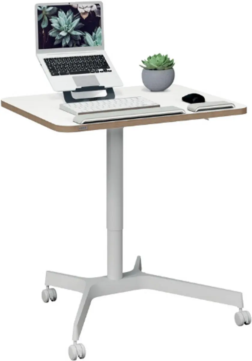 Leitz Ergo Zit Sta Bureau